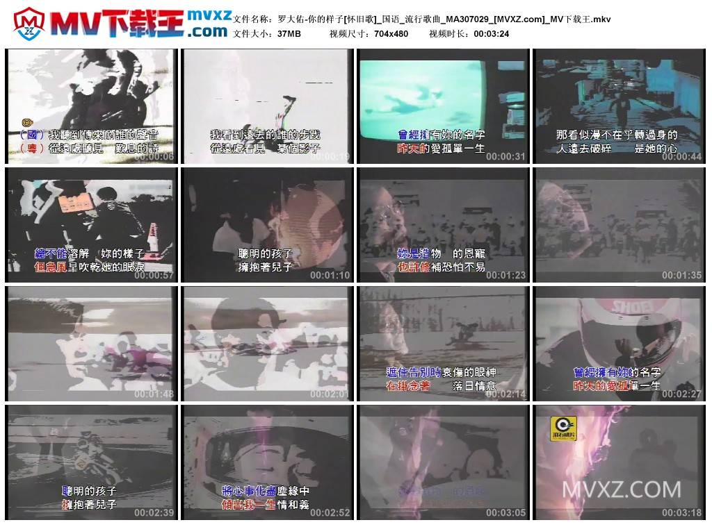 罗大佑-你的样子[怀旧歌]_国语_流行歌曲_MA307029